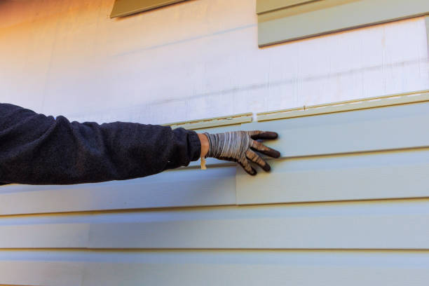 Siding Removal and Disposal in Louisburg, NC